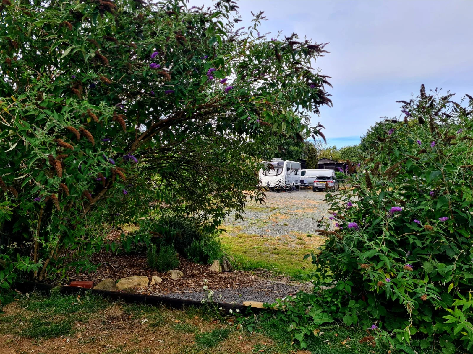 View into Glanfar campsite through mature greenery