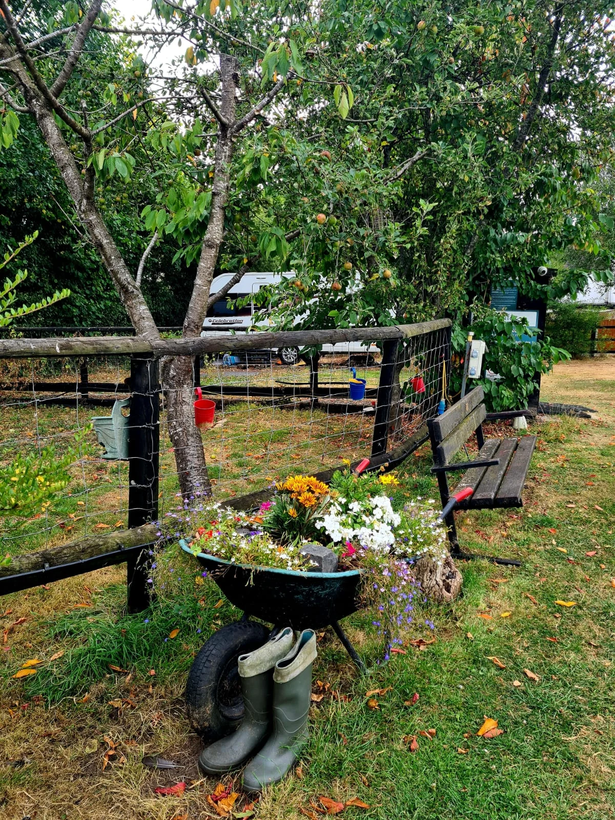 Farm fence and flower planting at Glanfar
