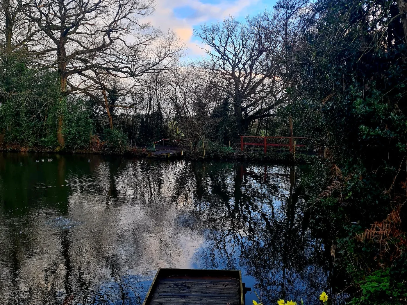 Blue-sky view across Botts Pool