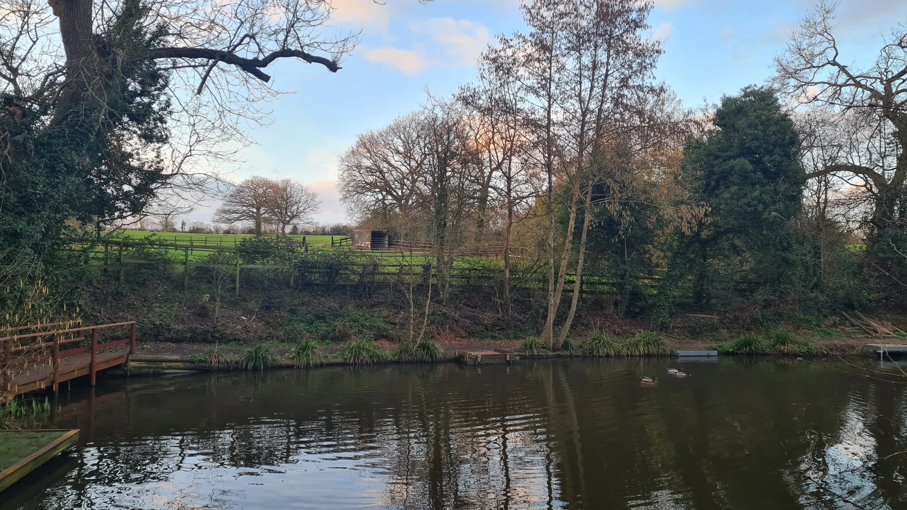 Wide view across Botts Pool Fishery and its mature trees