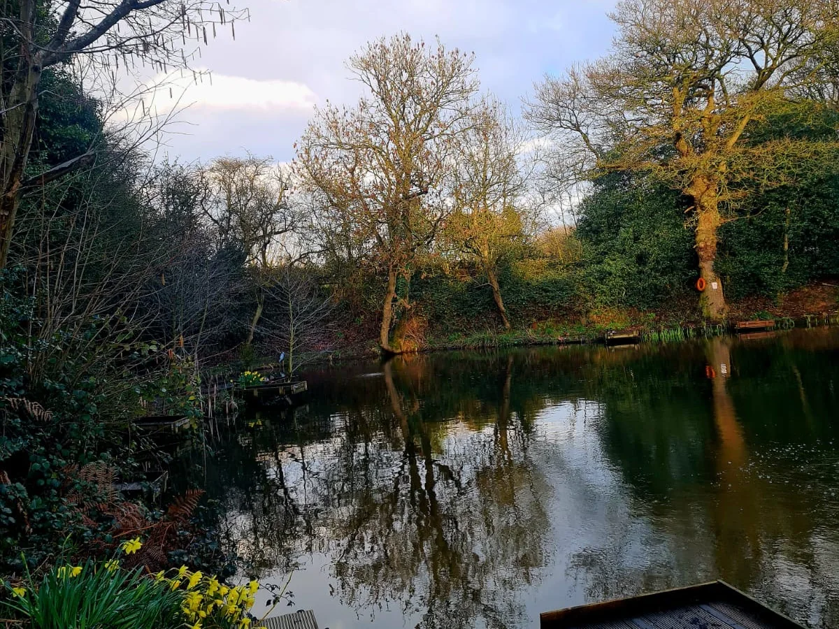 Fishing platform and spring planting beside Botts Pool