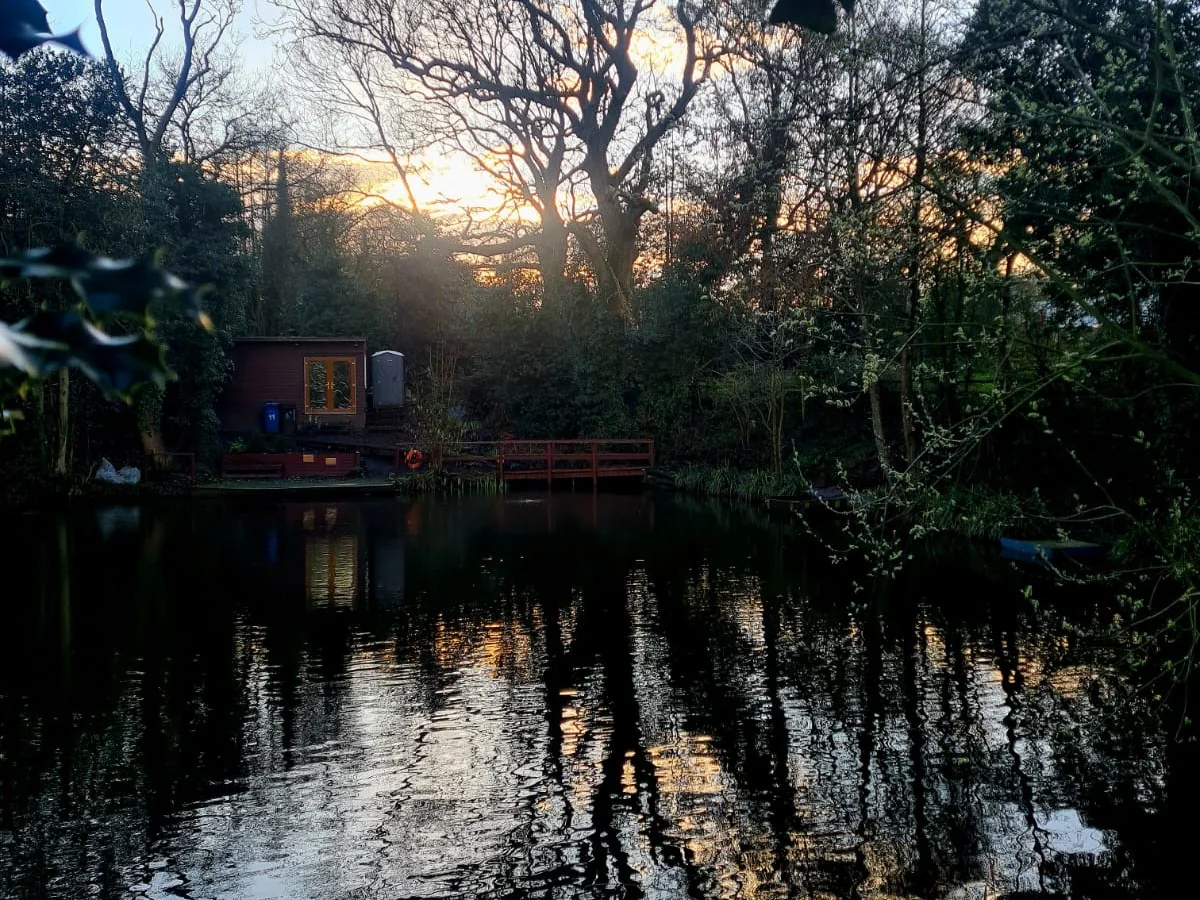Woodland reflections across Botts Pool