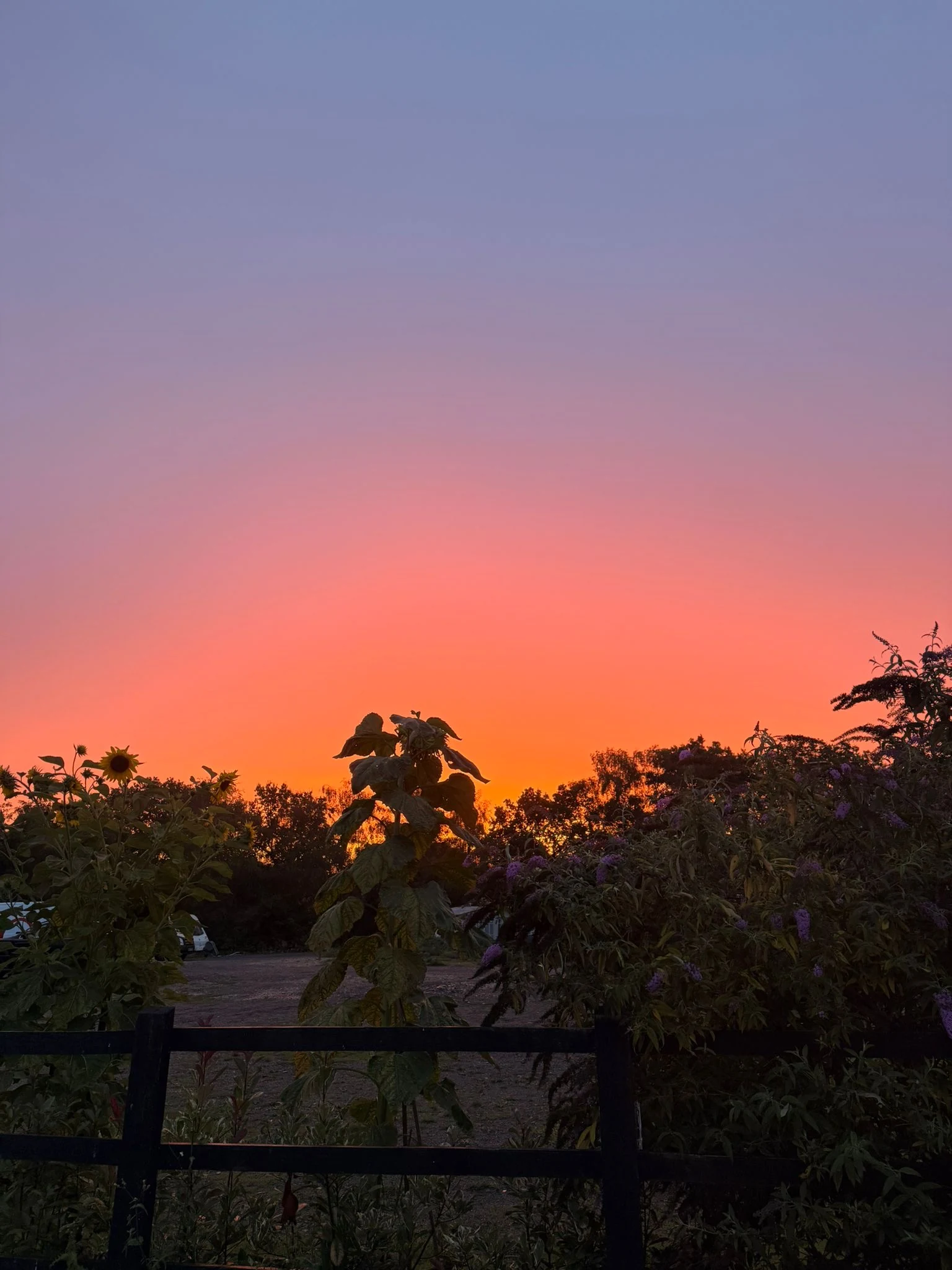Sunset over the Glanfar Meadows grounds