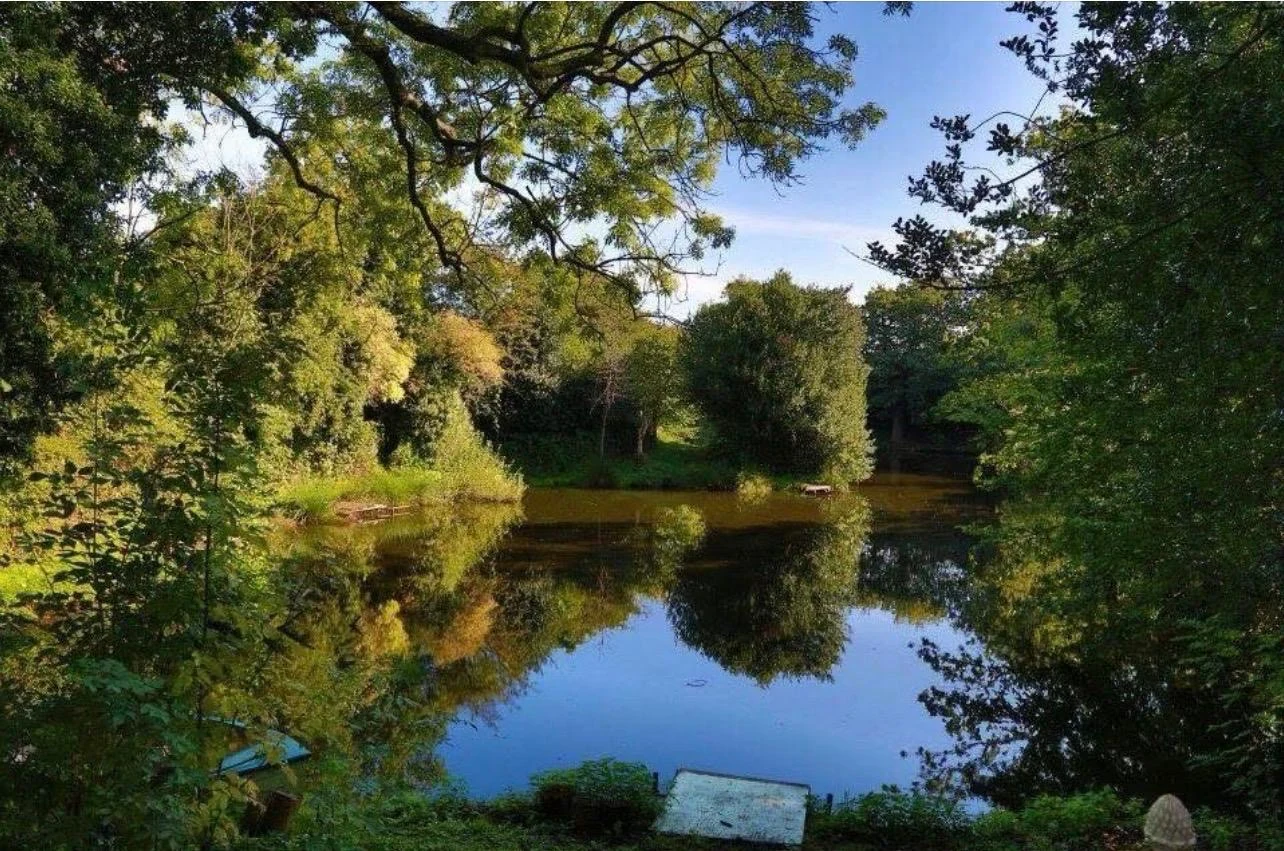 Woodland pond surrounded by trees at Glanfar