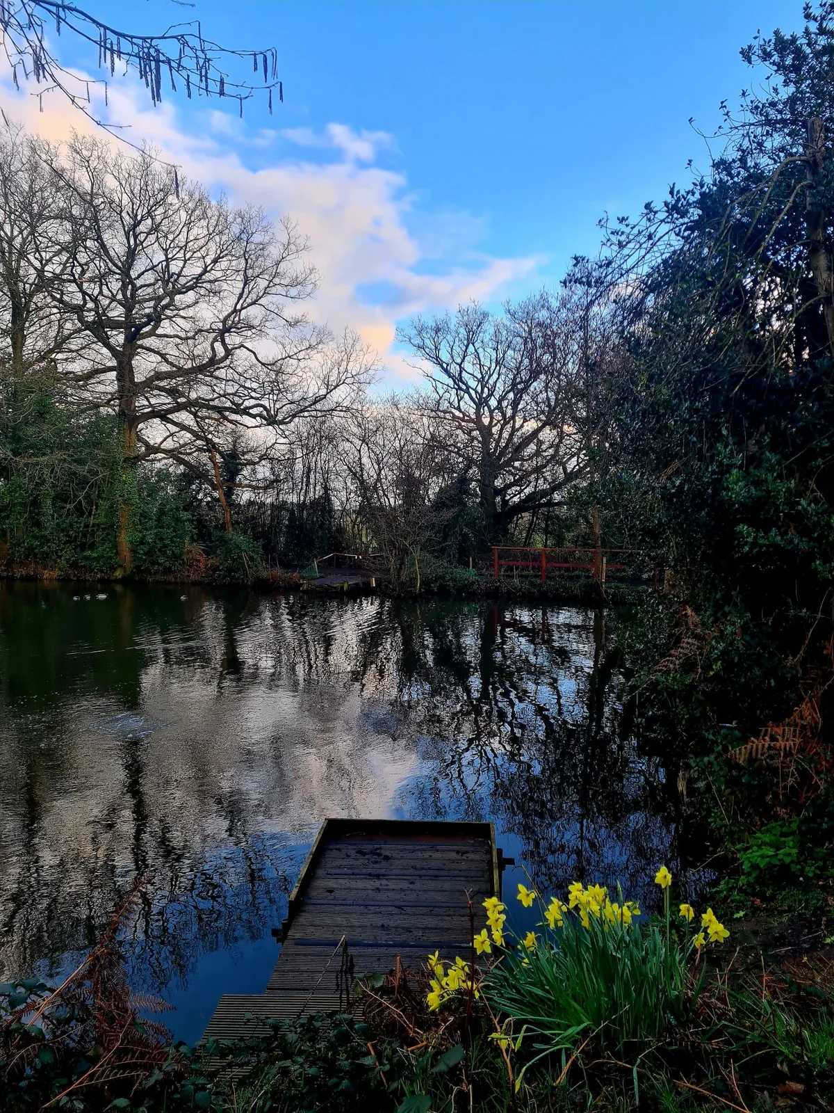 Blue-sky view across Botts Pool