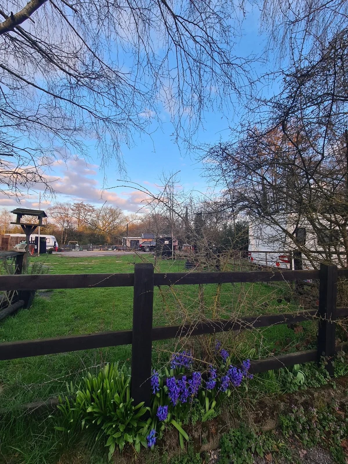 Green Lane countryside beside the fishery