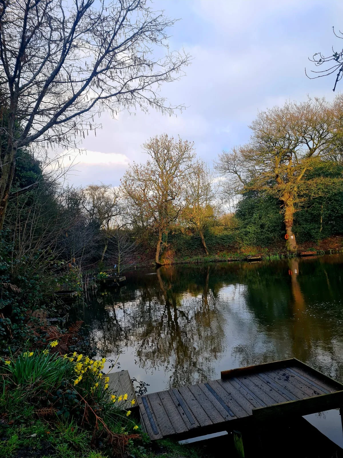 Fishing platform and spring planting at Botts Pool