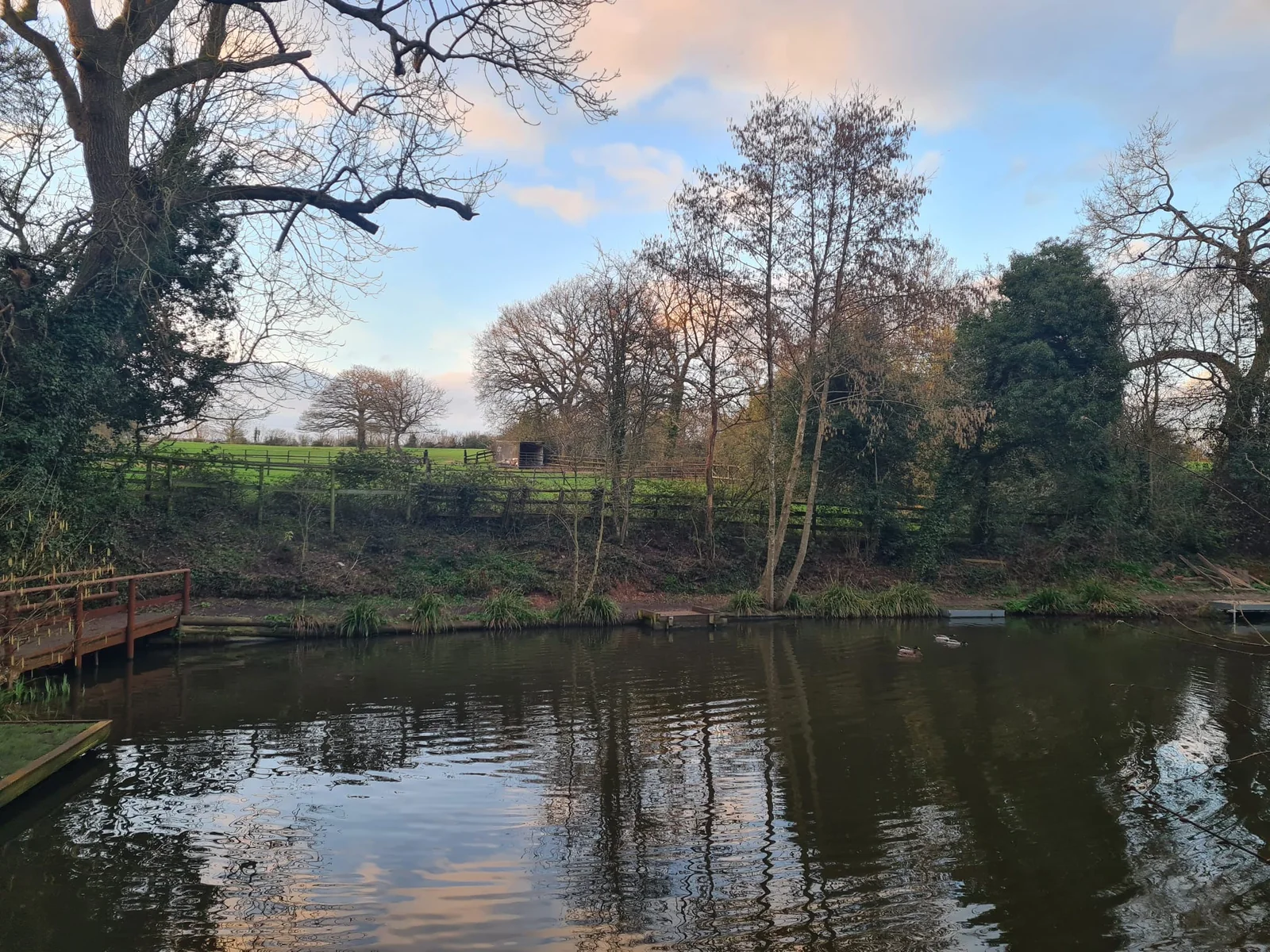 Wide view across Botts Pool and mature trees