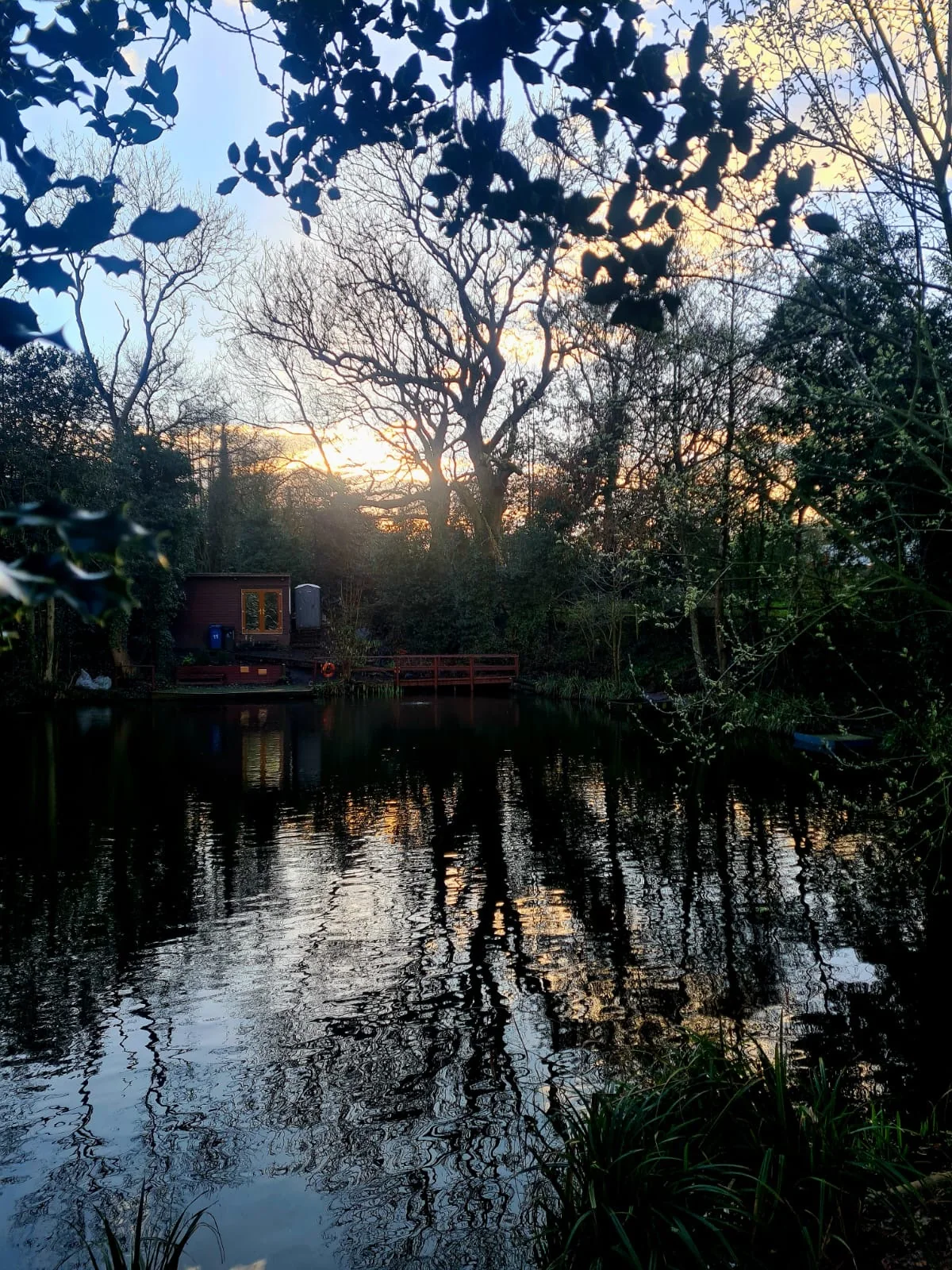 Woodland reflections across Botts Pool