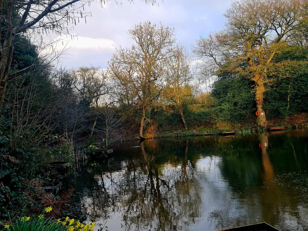 Fishing platform and spring planting beside Botts Pool Fishery
