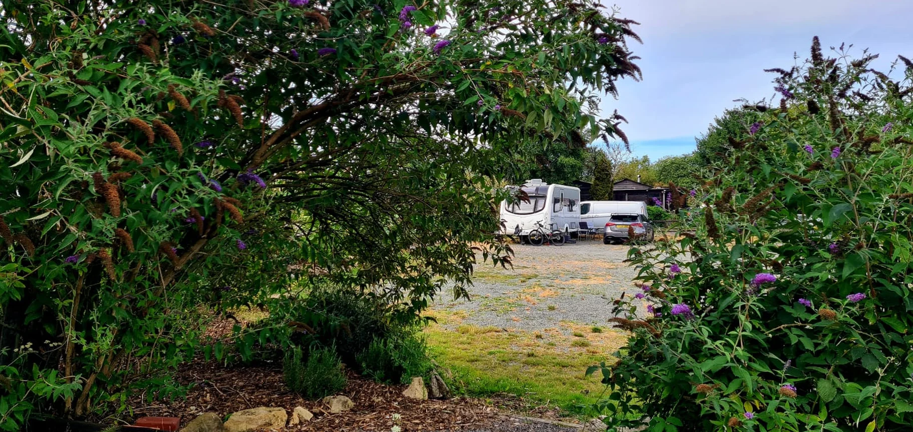 A real view through the greenery into Glanfar Meadows campsite