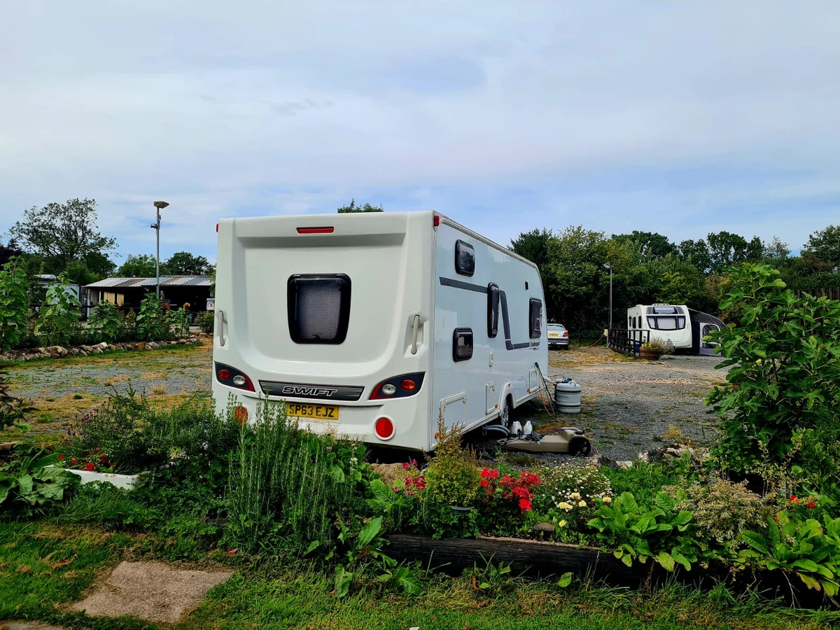 Touring caravan and flower borders at Glanfar Meadows