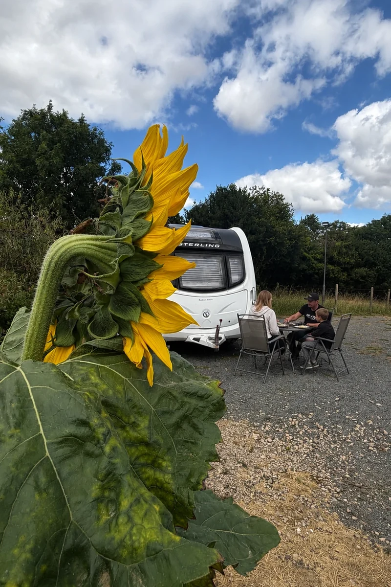 Guests relaxing beside their caravan at Glanfar Meadows