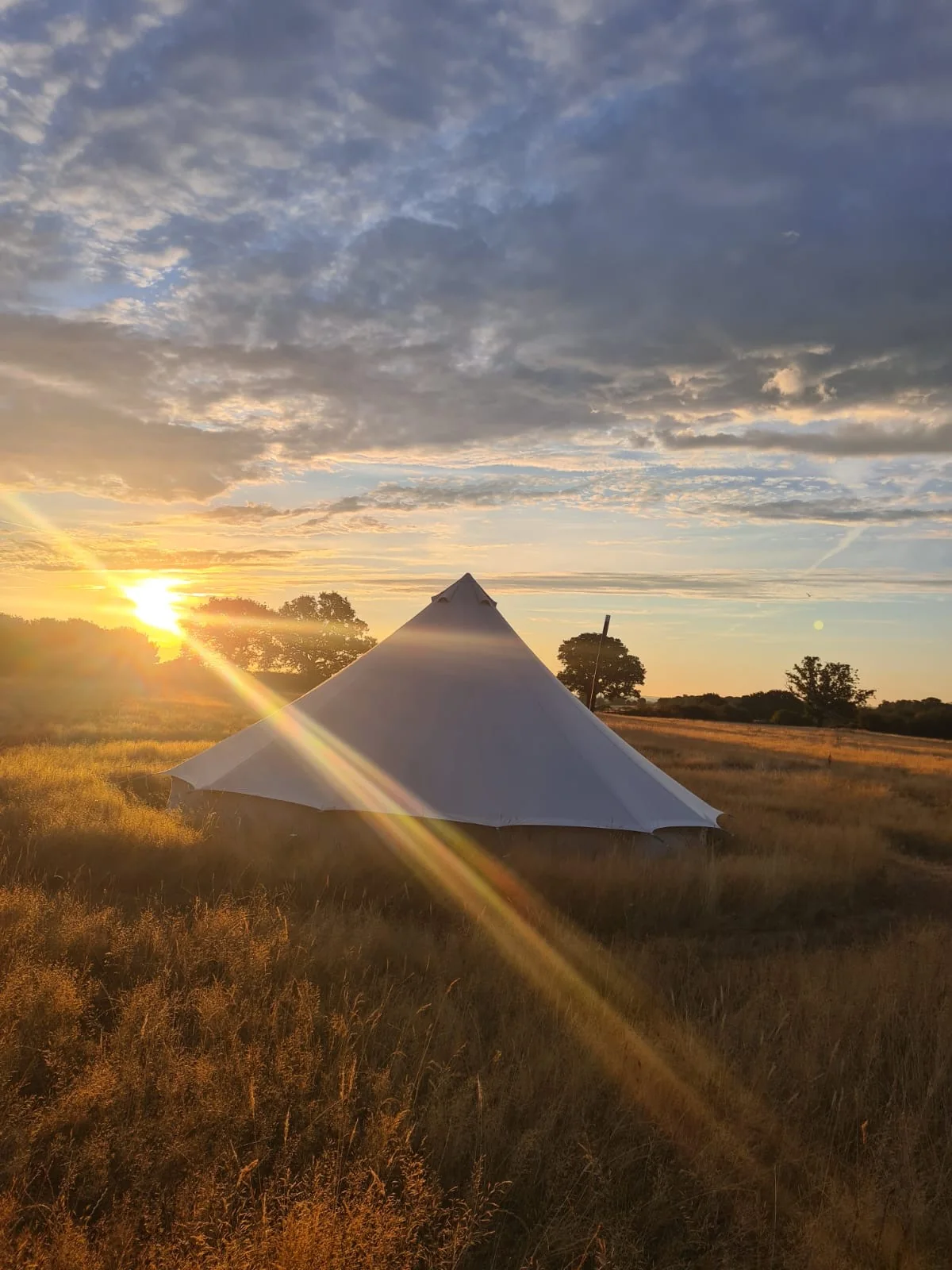 HeartWork bell tent glowing in the evening meadow