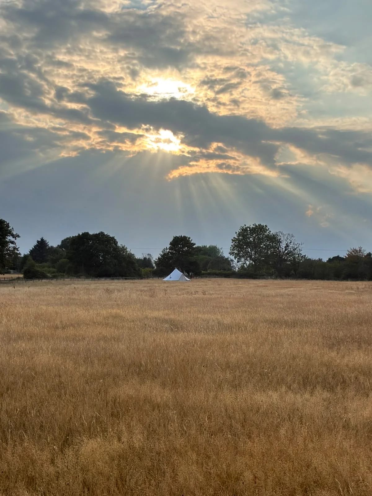 Sun rays over the meadow and HeartWork bell tent